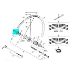 Shimano Cone Gauche Moyeu Arrière Shinamo WH-RS20-A/RS30 - Y4EW98100